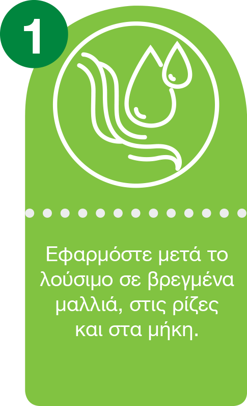 Step1